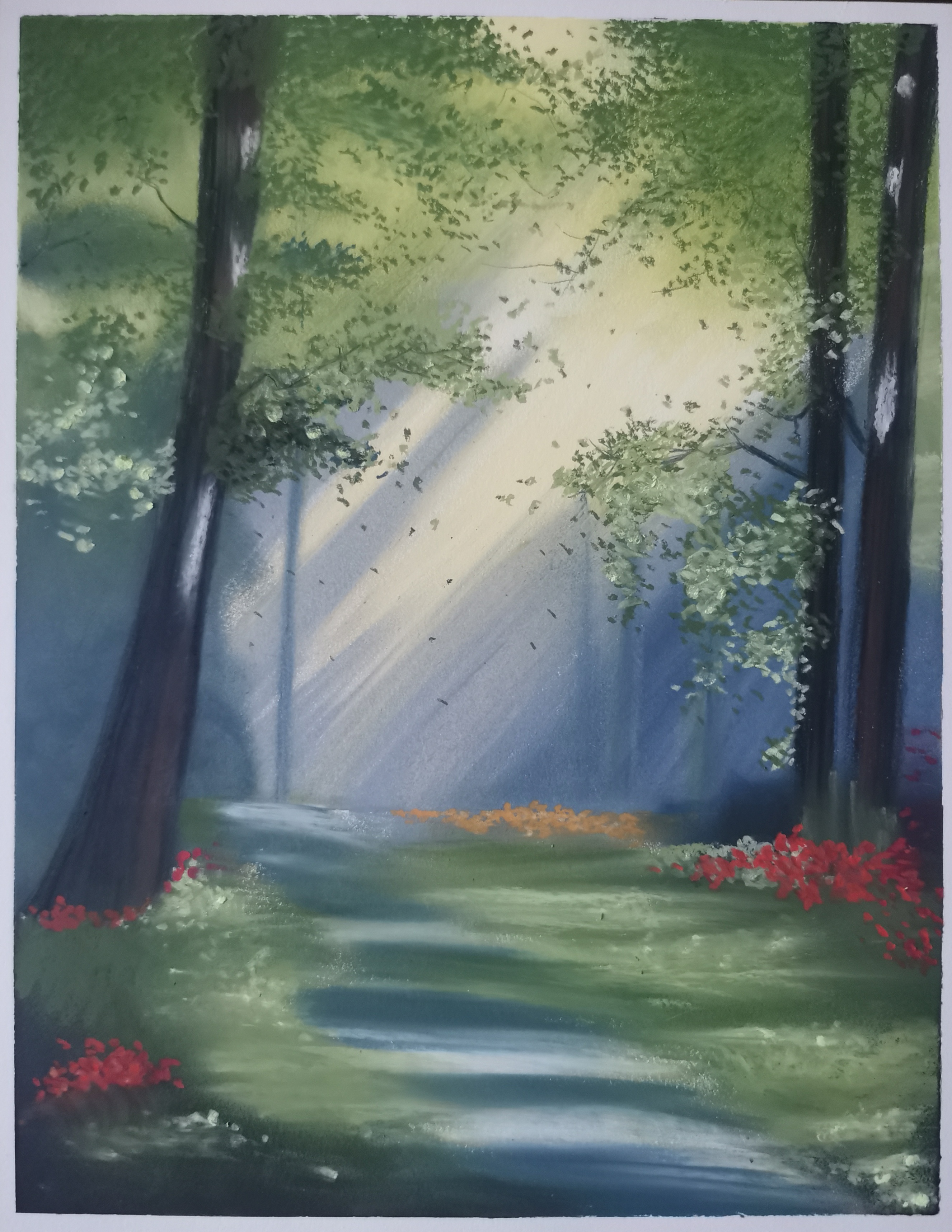 Sunbeams peak through lush treetops, along a flower covered trail.