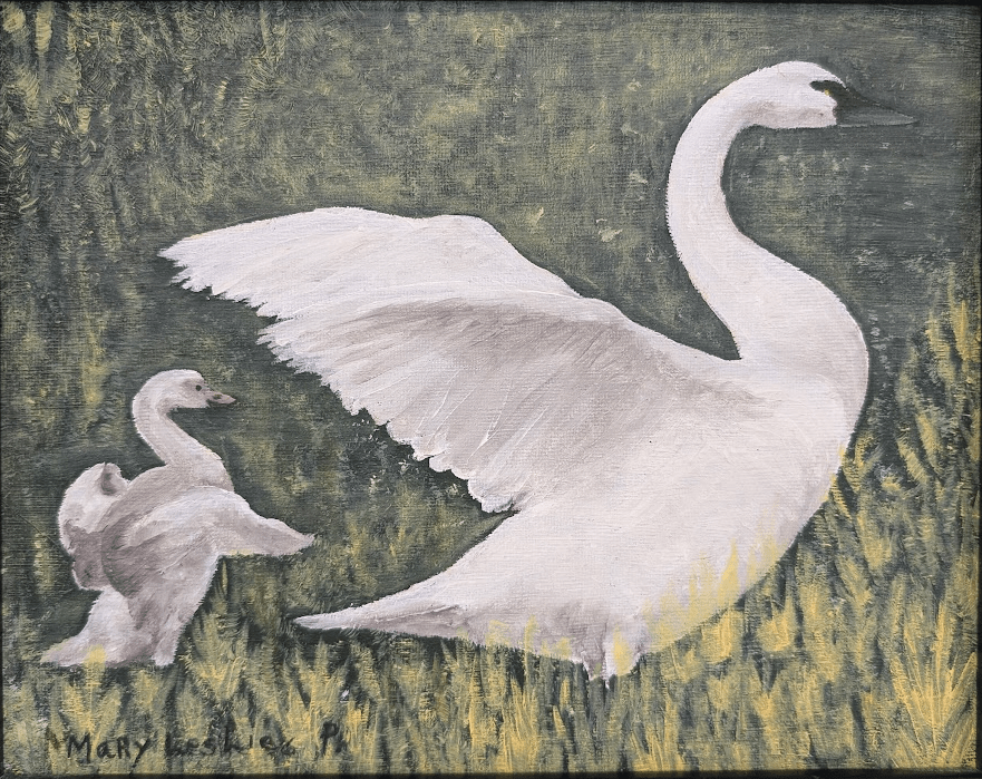 Two swans, an adult and baby, in a lush green landscape.